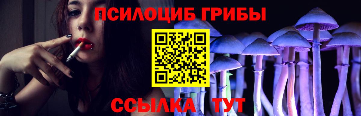 Урус-Мартан  как найти закладки  Вход с VPN  Галлюциногенные грибы Cubensis  Псилоцибиновые грибы ЛСД 